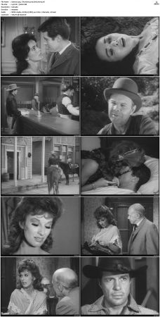 Wagon Train S01-S08 DVDRip XviD-cOOt