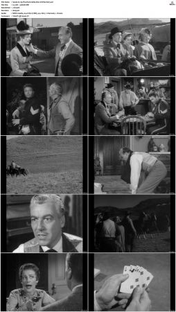 Wagon Train S01 S08 DVDRip XviD-cOOt