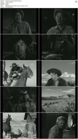 Wagon Train S01-S08 DVDRip XviD-cOOt