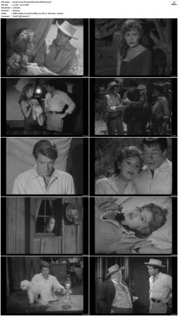 Wagon Train S01-S08 DVDRip XviD-cOOt