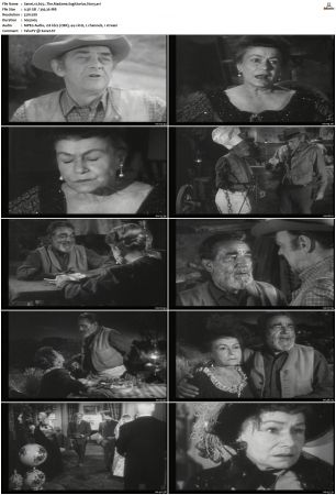 Wagon Train S01-S08 DVDRip XviD-cOOt