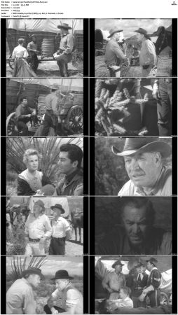 Wagon Train S01-S08 DVDRip XviD-cOOt