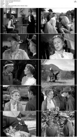 Wagon Train S01 S08 DVDRip XviD-cOOt