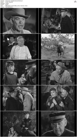 Wagon Train S01-S08 DVDRip XviD-cOOt