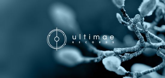 VA - Ultimae Records Digital - Label-Pack[105 Releases] (2001-2021) FLAC