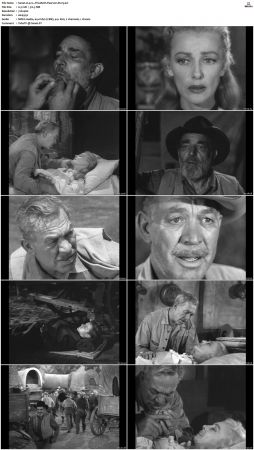 Wagon Train S01-S08 DVDRip XviD-cOOt