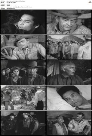 Wagon Train S01-S08 DVDRip XviD-cOOt