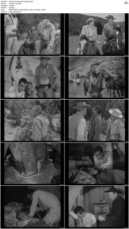 Wagon Train S01-S08 DVDRip XviD-cOOt