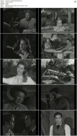 Wagon Train S01-S08 DVDRip XviD-cOOt