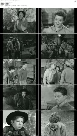 Wagon Train S01-S08 DVDRip XviD-cOOt