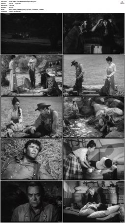 Wagon Train S01-S08 DVDRip XviD-cOOt