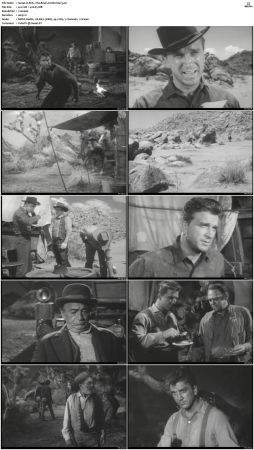 Wagon Train S01-S08 DVDRip XviD-cOOt