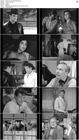 Wagon Train S01-S08 DVDRip XviD-cOOt