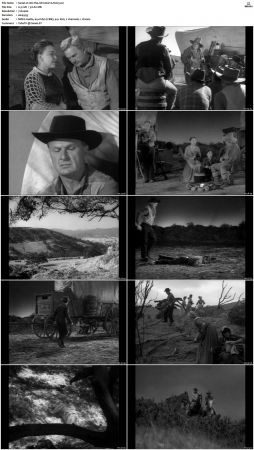 Wagon Train S01 S08 DVDRip XviD-cOOt