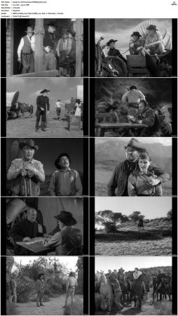 Wagon Train S01 S08 DVDRip XviD-cOOt
