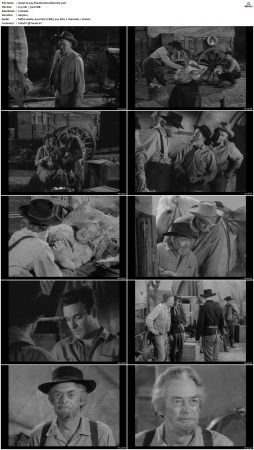 Wagon Train S01-S08 DVDRip XviD-cOOt