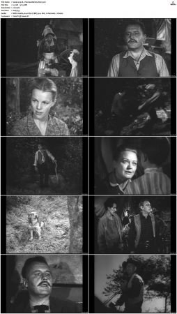 Wagon Train S01-S08 DVDRip XviD-cOOt