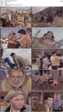 Wagon Train S01-S08 DVDRip XviD-cOOt