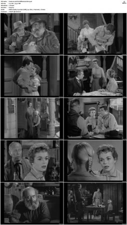Wagon Train S01-S08 DVDRip XviD-cOOt