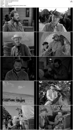 Wagon Train S01 S08 DVDRip XviD-cOOt