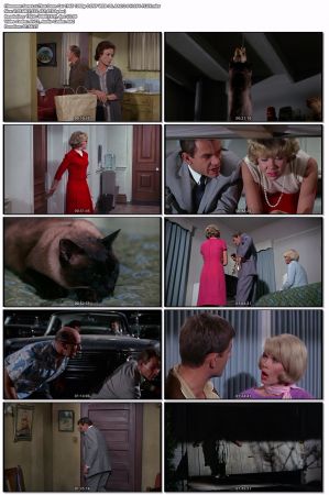 That Darn Cat 1965 1080p DSNP WEB-DL AAC 2.0 H264-FLUX