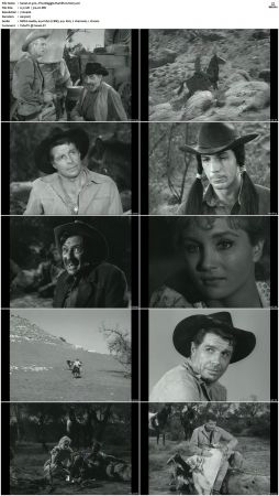 Wagon Train S01-S08 DVDRip XviD-cOOt