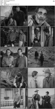 Wagon Train S01-S08 DVDRip XviD-cOOt