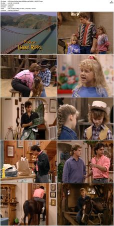 Full House S01 S08 1080p WEBRip x265-RARBG