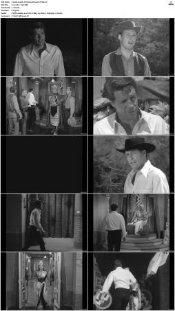 Wagon Train S01-S08 DVDRip XviD-cOOt