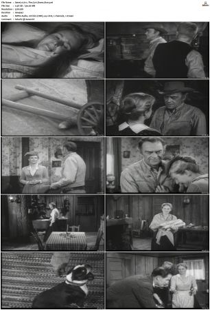 Wagon Train S01-S08 DVDRip XviD-cOOt
