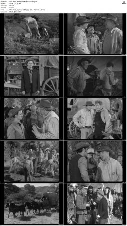 Wagon Train S01-S08 DVDRip XviD-cOOt