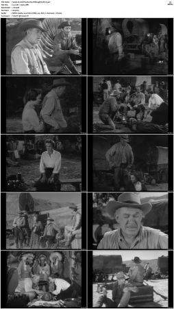 Wagon Train S01-S08 DVDRip XviD-cOOt