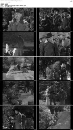 Wagon Train S01-S08 DVDRip XviD-cOOt