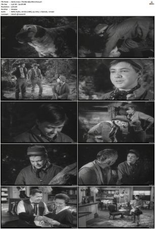 Wagon Train S01-S08 DVDRip XviD-cOOt