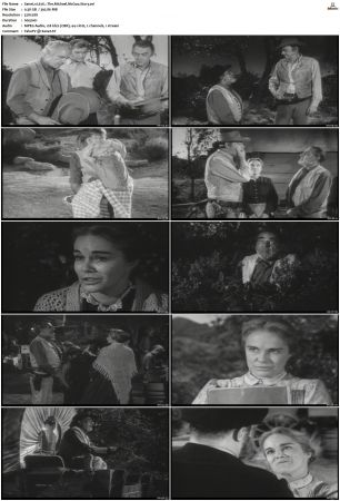 Wagon Train S01-S08 DVDRip XviD-cOOt