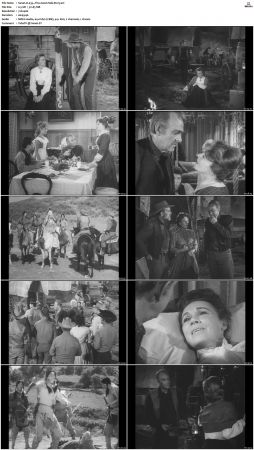 Wagon Train S01-S08 DVDRip XviD-cOOt