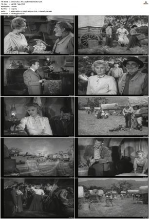 Wagon Train S01-S08 DVDRip XviD-cOOt