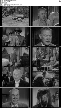 Wagon Train S01-S08 DVDRip XviD-cOOt