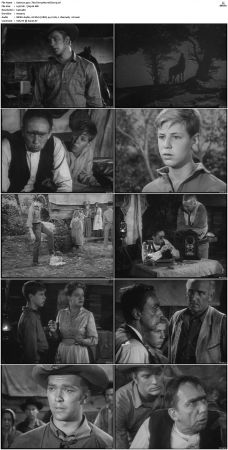 Wagon Train S01-S08 DVDRip XviD-cOOt