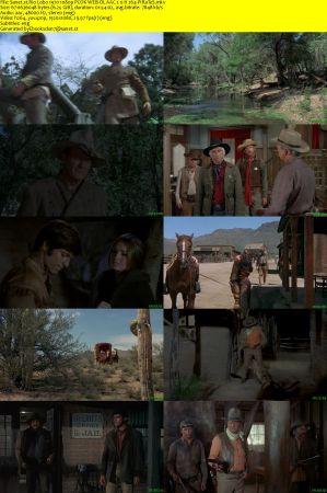 Rio Lobo 1970 1080p PCOK WEB-DL AAC 2.0 H264-PiRaTeS