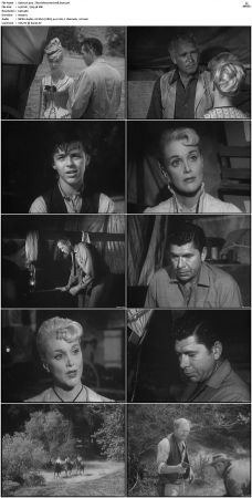Wagon Train S01-S08 DVDRip XviD-cOOt
