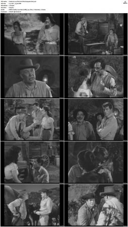 Wagon Train S01-S08 DVDRip XviD-cOOt