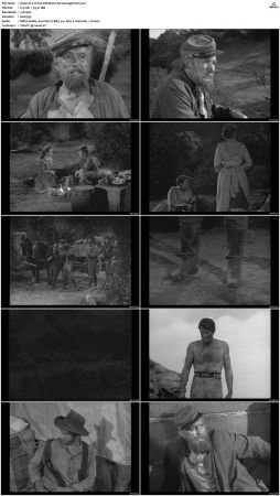 Wagon Train S01-S08 DVDRip XviD-cOOt