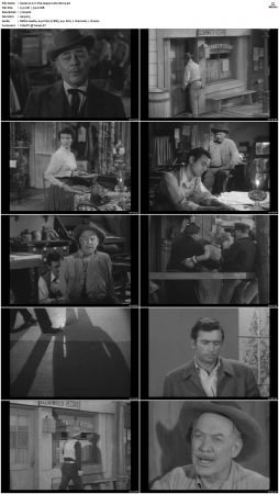 Wagon Train S01-S08 DVDRip XviD-cOOt