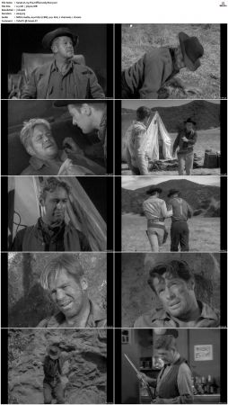 Wagon Train S01 S08 DVDRip XviD-cOOt