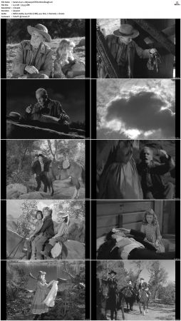 Wagon Train S01-S08 DVDRip XviD-cOOt