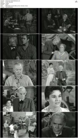 Wagon Train S01-S08 DVDRip XviD-cOOt