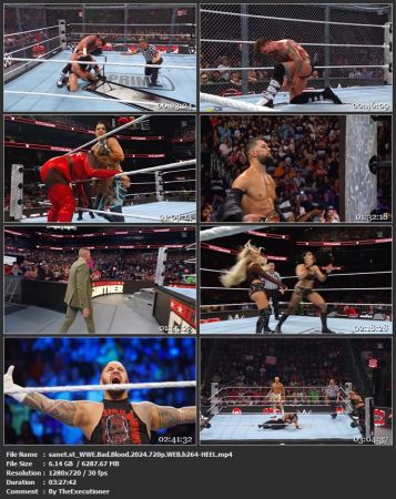 WWE Bad Blood 2024 720p WEB h264-HEEL