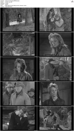 Wagon Train S01-S08 DVDRip XviD-cOOt