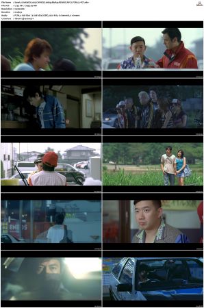 Initial D 2005 CHINESE 1080p BluRay REMUX AVC LPCM 5.1-FGT